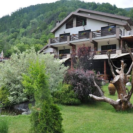 Pensiunea Valahia Брезой Экстерьер фото
