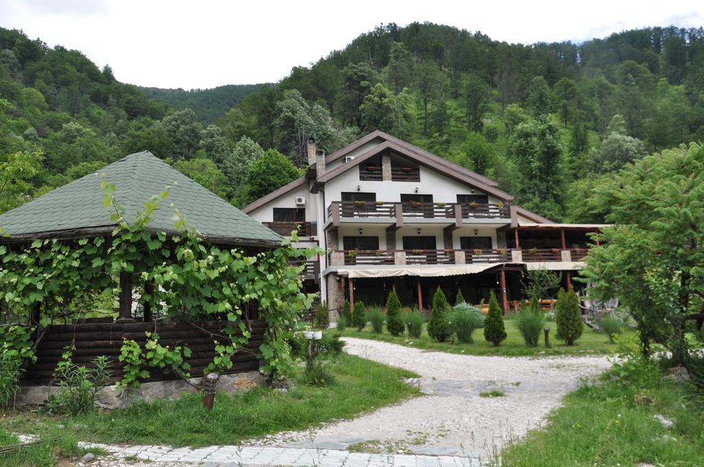 Pensiunea Valahia Брезой Экстерьер фото