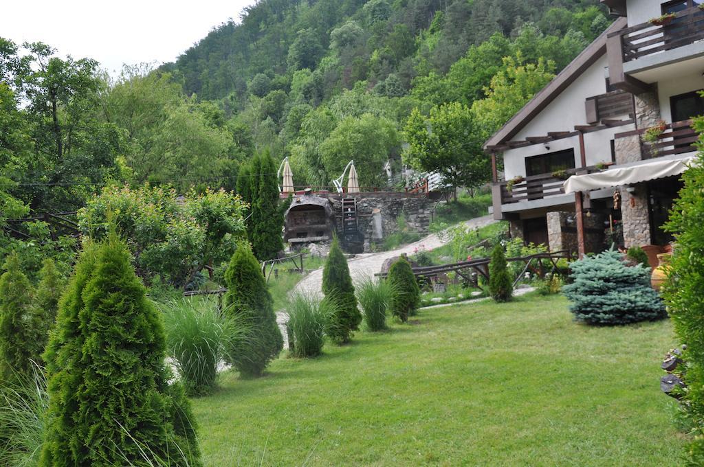 Pensiunea Valahia Брезой Экстерьер фото